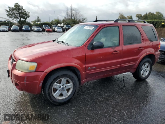 2007 Ford Escape Hybrid with VIN 1FMCU49HX7KA35267, listed as a Copart auction lot 49123395 with 318,091 mi miles and Clean Title. Bid and sale history available at carsss.com. Image 1.