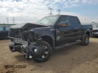 2011 Ford F-150 XL with VIN 1FTFW1EF5BKD29344, listed as a Copart auction lot 50380205 with 117,289 mi miles and Salvage Title. Bid and sale history available at DreamBid. Image 1.