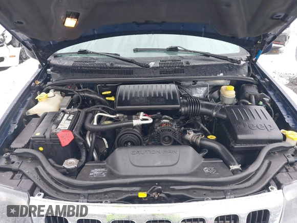 2001 Jeep Grand Cherokee Laredo with VIN 1J4GW48N21C730703, listed as a IAAI auction lot 41581667 with 111,054 mi miles and . Bid and sale history available at DreamBid. Image 10.