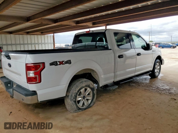 2019 Ford F-150 XL with VIN 1FTFW1E54KKE16420, listed as a Copart auction lot 62522515 with 141,177 mi miles and Clean title. Bid and sale history available at DreamBid. Image 3.