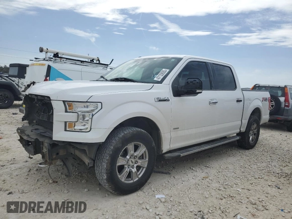 2017 Ford F-150 XL with VIN 1FTEW1EP6HKC53436, listed as a Copart auction lot 47133935 with 171,017 mi miles and Salvage Title. Bid and sale history available at carsss.com. Image 1.