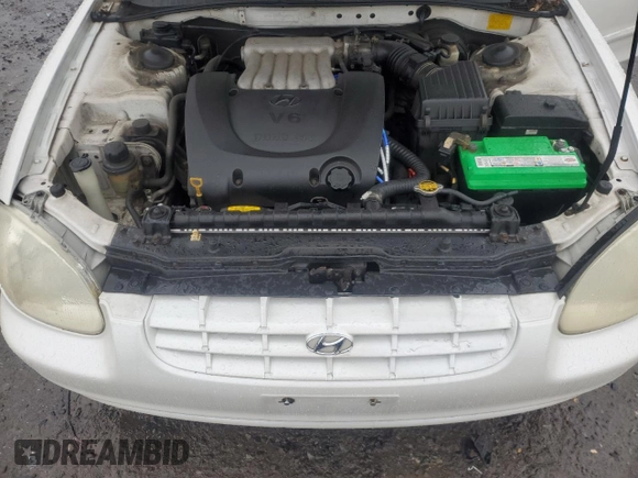 1999 Hyundai Sonata GLS with VIN KMHWF35VXXA049804, listed as a Copart auction lot 44175995 with 123,322 mi miles and Salvage Title. Bid and sale history available at carsss.com. Image 11.