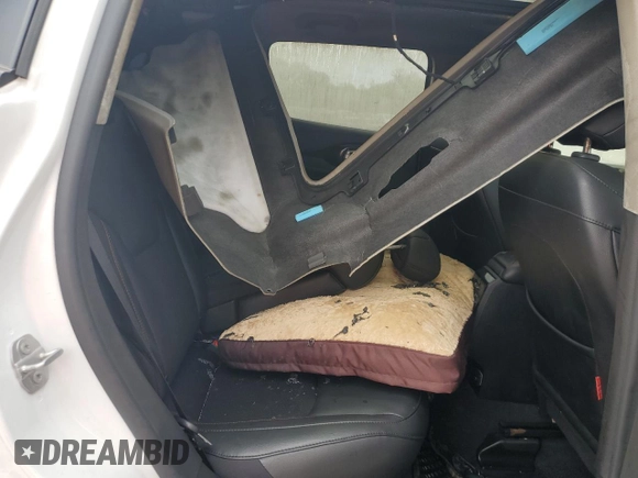 2022 Jeep Compass Trailhawk with VIN 3C4NJDDB9NT159096, listed as a Copart auction lot 58563145 with Not provided miles and Salvage title. Bid and sale history available at DreamBid. Image 11.