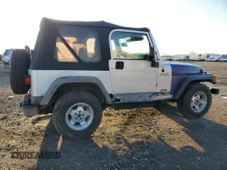 2003 Jeep Wrangler Sport with VIN 1J4FA49S03P313901, listed as a Copart auction lot 46100245 with 61,335 mi miles and Clean Title. Bid and sale history available at carsss.com. Image 3.