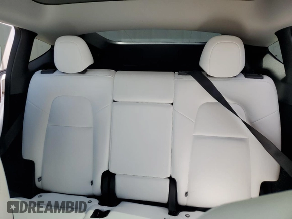 2025 Tesla Model Y Long Range with VIN 7SAYGDED4SF232433, listed as a Copart auction lot 51504015 with Not Provided miles and Salvage Title. Bid and sale history available at DreamBid. Image 10.