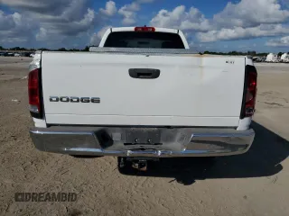 2002 Dodge 1500 with VIN 1D7HA16K32J224753, listed as a Copart auction lot 79841324 with 117,715 mi miles and Salvage Title. Bid and sale history available at DreamBid. Image 10.