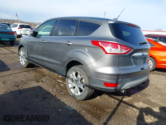 2013 Ford Escape SEL with VIN 1FMCU9H92DUA24934, listed as a IAAI auction lot 41832566 with 124,705 mi miles. Bid and sale history available at carsss.com. Image 3.