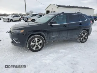 2020 Jeep Cherokee Limited with VIN 1C4PJMDN6LD595099, listed as a Copart auction lot 42120205 with 61,230 mi miles and Clean Title. Bid and sale history available at carsss.com. Image 1.