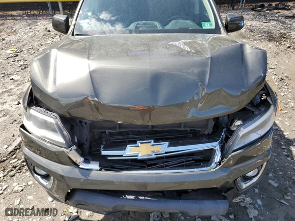 2018 Chevrolet Colorado 4WD LT with VIN 1GCGTCEN3J1195132, listed as a Copart auction lot 53256635 with 181,130 mi miles and Salvage Title. Bid and sale history available at carsss.com. Image 11.