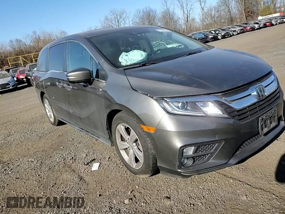 2019 Honda Odyssey EX-L with VIN 5FNRL6H7XKB042232, listed as a Copart auction lot 81066384 with 55,724 mi miles and Salvage Title. Bid and sale history available at carsss.com. Image 12.