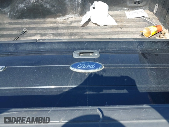 2010 Ford F-150 XL with VIN 1FTMF1CW1AKC37012, listed as a IAAI auction lot 41757352 with 196,008 mi miles and . Bid and sale history available at DreamBid. Image 12.