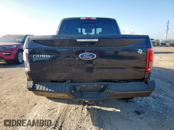 2016 Ford F-150 XL with VIN 1FTEW1CF0GFB36839, listed as a Copart auction lot 62020185 with 175,938 mi miles and Salvage title. Bid and sale history available at DreamBid. Image 6.