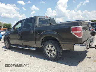 2009 Ford F-150 XL with VIN 1FTRW12889FB01747, listed as a Copart auction lot 62402315 with 332,253 mi miles and Clean title. Bid and sale history available at DreamBid. Image 2.