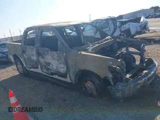 2010 Ford F-150 XL with VIN 1FTEW1C84AFB53183, listed as a IAAI auction lot 41863549 with Not provided miles and . Bid and sale history available at DreamBid. Image 1.