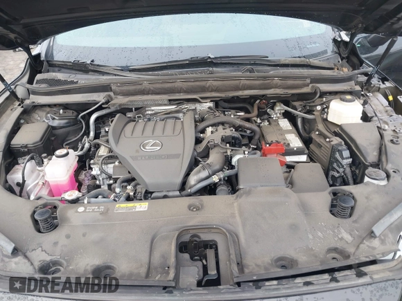 2024 Lexus RX 350 с VIN 2T2BAMBA0RC022534, выставлен на аукционе IAAI как лот 41489034 с пробегом 22 520 миль миль и . История ставок и продаж доступна на DreamBid. Изображение 10.