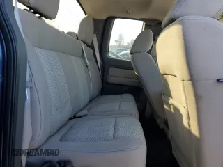 2010 Ford F-150 XL with VIN 1FTFX1EV5AFA07606, listed as a Copart auction lot 88846445 with 260,949 mi miles and Salvage Title. Bid and sale history available at carsss.com. Image 10.