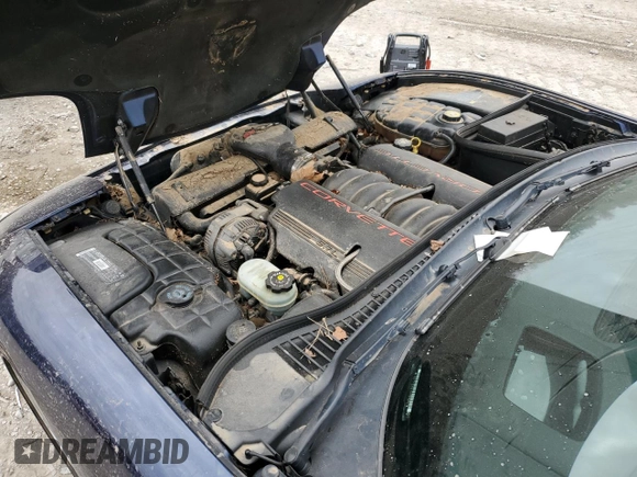2001 Chevrolet Corvette with VIN 1G1YY22G515121394, listed as a Copart auction lot 47123245 with 0 mi miles and Salvage Title. Bid and sale history available at carsss.com. Image 11.