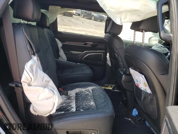 2023 Kia Telluride SX X-Pro with VIN 5XYP5DGC3PG350539, listed as a Copart auction lot 67594324 with 38,272 mi miles and Salvage title. Bid and sale history available at DreamBid. Image 11.