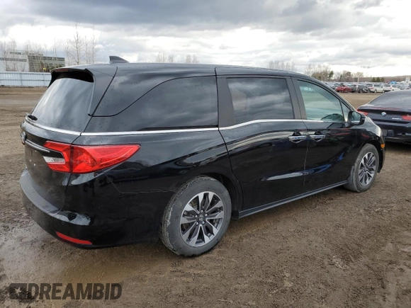 2024 Honda Odyssey EX-L with VIN 5FNRL6H69RB501705, listed as a Copart auction lot 53372625 with 29,603 mi miles and Clean Title. Bid and sale history available at DreamBid. Image 3.