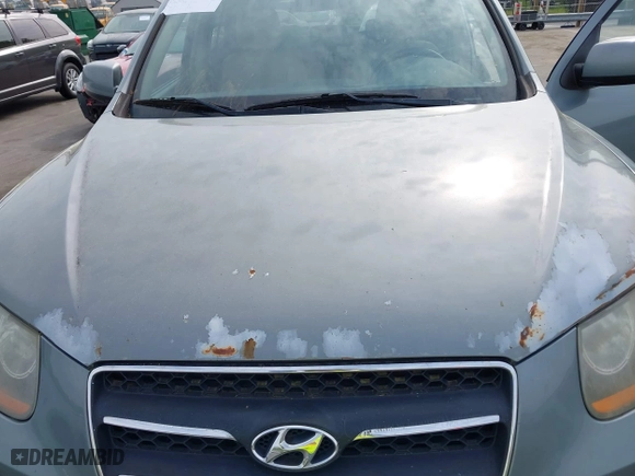2009 Hyundai Santa Fe SE with VIN 5NMSH13E09H311908, listed as a IAAI auction lot 42098472 with 262,187 mi miles. Bid and sale history available at carsss.com. Image 6.