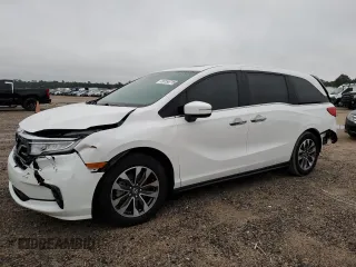 2024 Honda Odyssey EX-L with VIN 5FNRL6H66RB069509, listed as a Copart auction lot 56155715 with 3,341 mi miles and Salvage Title. Bid and sale history available at DreamBid. Image 1.