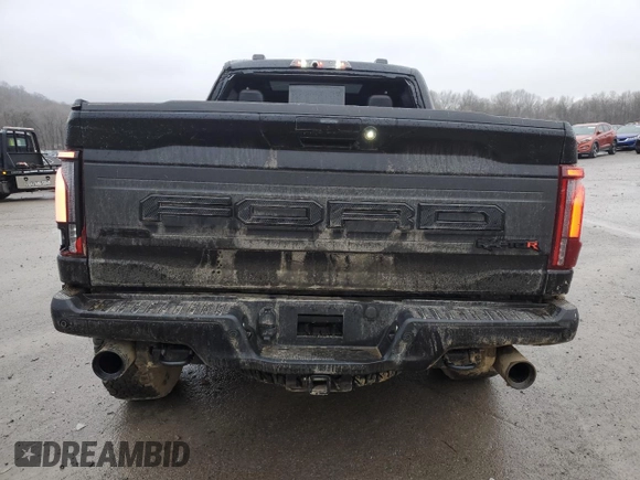 2024 Ford F-150 Raptor with VIN 1FTFW1RJ3RFB30519, listed as a Copart auction lot 45009115 with 15,151 mi miles and Salvage Title. Bid and sale history available at DreamBid. Image 6.