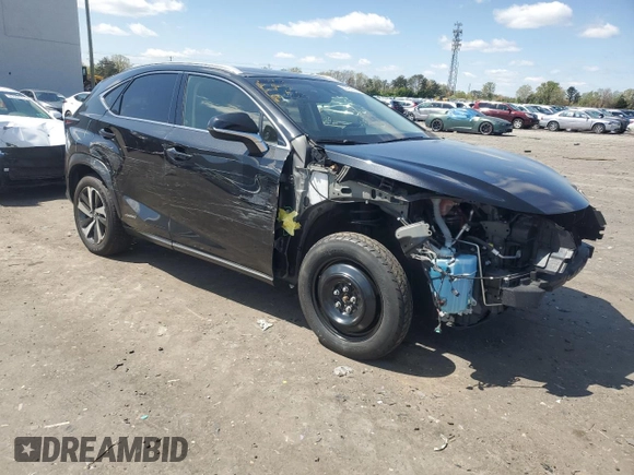 2019 Lexus NX 300h with VIN JTJBJRBZ7K2097983, listed as a Copart auction lot 50781455 with 70,253 mi miles and Salvage title. Bid and sale history available at DreamBid. Image 4.
