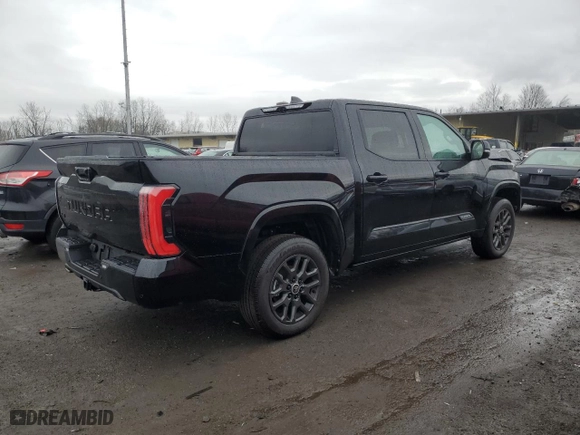 2024 Toyota Tundra 4WD Platinum with VIN 5TFNA5DB8RX228795, listed as a Copart auction lot 49175165 with 527 mi miles and Salvage Title. Bid and sale history available at carsss.com. Image 3.
