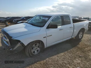 2010 Dodge 1500 SLT with VIN 1D7RB1GT9AS173325, listed as a Copart auction lot 43406715 with 206,591 mi miles and Salvage Title. Bid and sale history available at carsss.com. Image 1.