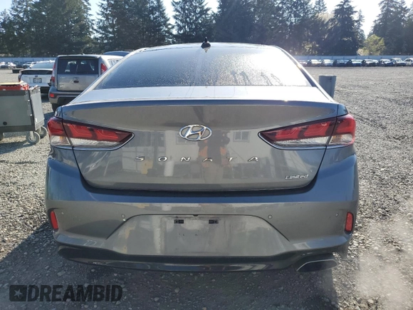 2019 Hyundai Sonata SEL with VIN 5NPE34AF5KH808518, listed as a Copart auction lot 53586045 with 91,307 mi miles and Salvage Title. Bid and sale history available at DreamBid. Image 6.