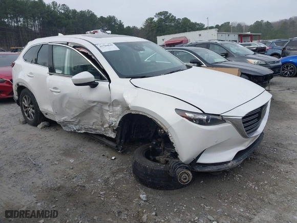 2019 Mazda CX-9 Touring with VIN JM3TCBCY4K0327075, listed as a IAAI auction lot 41780849 with 105,589 mi miles. Bid and sale history available at carsss.com. Image 1.