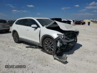2020 Mazda CX-9 Signature with VIN JM3TCBEY7L0418274, listed as a Copart auction lot 73657594 with Not Provided miles and Salvage Title. Bid and sale history available at carsss.com. Image 4.