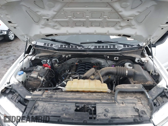 2019 Ford F-150 XL with VIN 1FTEW1C52KKD70455, listed as a IAAI auction lot 41457239 with 97,295 mi miles and . Bid and sale history available at DreamBid. Image 10.