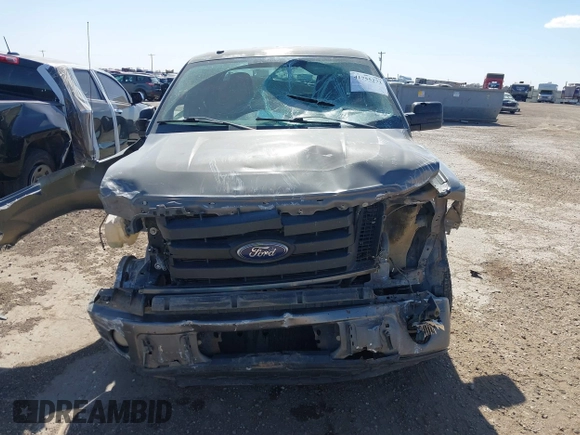 2010 Ford F-150 XL with VIN 1FTEX1CW1AKB71501, listed as a IAAI auction lot 41755273 with 146,272 mi miles and . Bid and sale history available at DreamBid. Image 12.