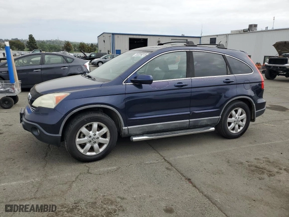 2009 Honda CR-V EX-L with VIN 5J6RE387X9L011573, listed as a Copart auction lot 53326015 with 141,115 mi miles and Clean Title. Bid and sale history available at carsss.com. Image 1.