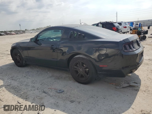 2013 Ford Mustang V6 с VIN 1ZVBP8AM2D5280255, выставлен на аукционе Copart как лот 62269195 с пробегом 152 031 миль миль и Чистый • Clean title. История ставок и продаж доступна на DreamBid. Изображение 2.