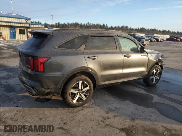 2021 Kia Sorento EX with VIN 5XYRHDLF8MG058381, listed as a Copart auction lot 88867695 with 46,091 mi miles and Salvage Title. Bid and sale history available at DreamBid. Image 3.