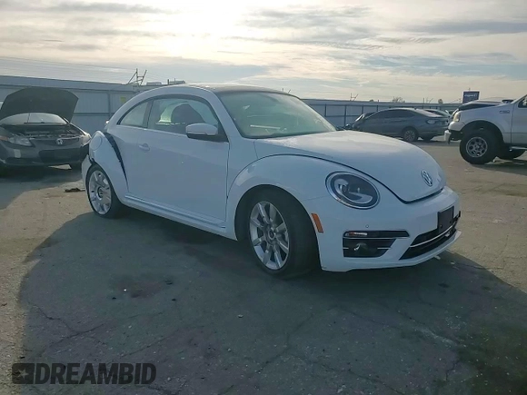 2019 Volkswagen Beetle SE with VIN 3VWJD7AT9KM720369, listed as a Copart auction lot 43407005 with Not provided miles and Salvage title. Bid and sale history available at DreamBid. Image 10.
