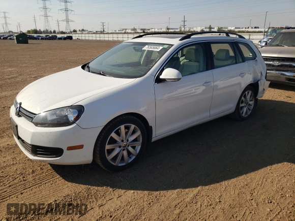 2014 Volkswagen Jetta SportWagen TDI w/Sunroof with VIN 3VWML7AJ1EM609124, listed as a Copart auction lot 76565664 with 174,180 mi miles and Salvage Title. Bid and sale history available at carsss.com. Image 1.