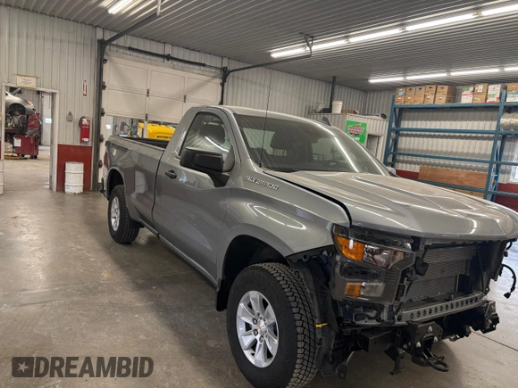 2024 Chevrolet Silverado 1500 Work Truck with VIN 3GCNAAED1RG449586, listed as a Copart auction lot 53335665 with 4,520 mi miles and Salvage Title. Bid and sale history available at carsss.com. Image 1.