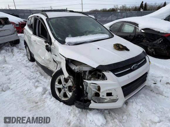 2013 Ford Escape SE with VIN 1FMCU9G97DUB99908, listed as a Copart auction lot 48123295 with Not Provided miles and Non Repairable. Bid and sale history available at DreamBid. Image 4.