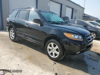 2008 Hyundai Santa Fe SE with VIN 5NMSH13E58H221121, listed as a Copart auction lot 49084395 with 193,910 mi miles and Salvage Title. Bid and sale history available at carsss.com. Image 4.