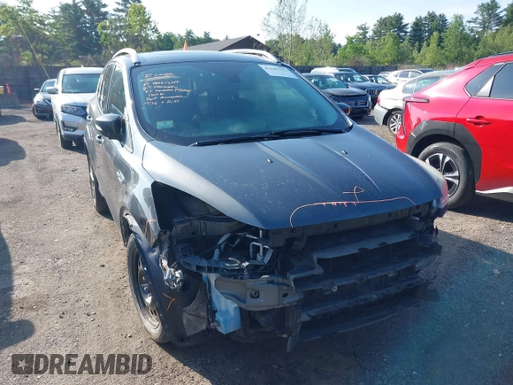 2016 Ford Escape Titanium with VIN 1FMCU9J99GUB27573, listed as a IAAI auction lot 42445457 with 156,784 mi miles and . Bid and sale history available at DreamBid. Image 13.