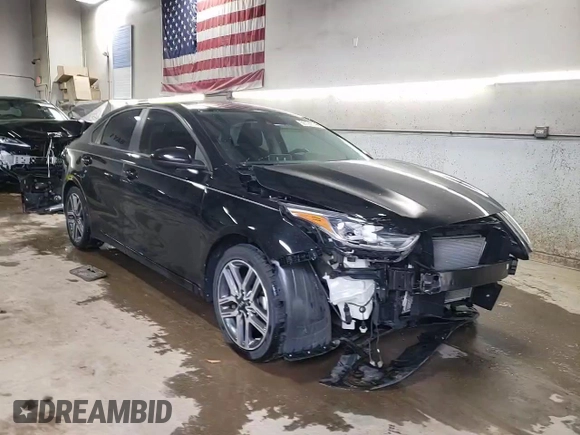 2019 Kia Forte S with VIN 3KPF34ADXKE012242, listed as a Copart auction lot 52129775 with 60,277 mi miles and Salvage Title. Bid and sale history available at carsss.com. Image 14.