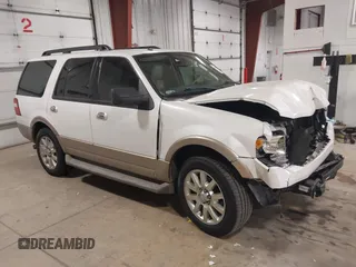 2011 Ford Expedition XLT with VIN 1FMJU1H58BEF02156, listed as a IAAI auction lot 42039020 with 165,042 mi miles and . Bid and sale history available at DreamBid. Image 1.