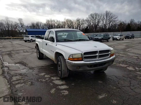 2001 Dodge Dakota Sport with VIN 1B7GG22N21S308680, listed as a Copart auction lot 89199535 with 246,337 mi miles and Salvage Title. Bid and sale history available at carsss.com. Image 11.