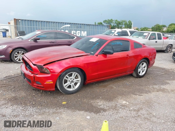 2013 Ford Mustang V6 with VIN 1ZVBP8AM9D5283332, listed as a IAAI auction lot 42471456 with 108,514 mi miles and . Bid and sale history available at DreamBid. Image 14.