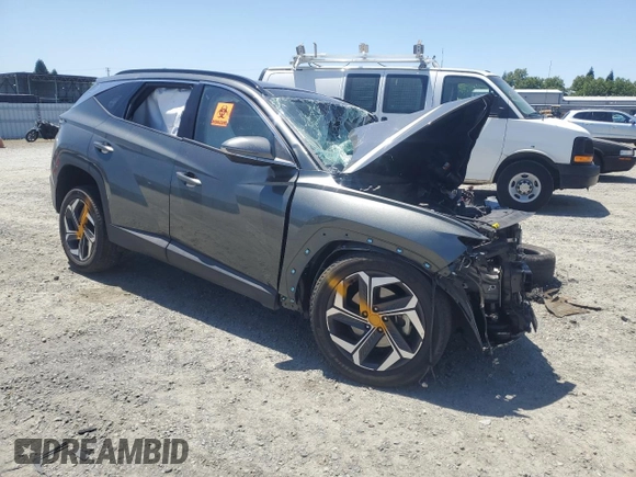 2023 Hyundai Tucson Limited with VIN 5NMJECAE3PH201340, listed as a Copart auction lot 58365505 with Not provided miles and Non repairable. Bid and sale history available at DreamBid. Image 4.