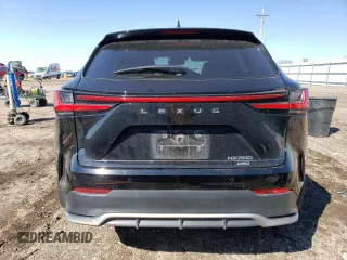 2023 Lexus NX with VIN 2T2KGCEZ5PC030443, listed as a Copart auction lot 48244224 with 10,010 mi miles. Bid and sale history available at carsss.com. Image 6.
