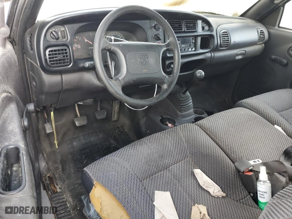 1999 Dodge Ram 1500 with VIN 3B7HC13Y5XG212559, listed as a Copart auction lot 81298064 with 0 mi miles and Salvage Title. Bid and sale history available at carsss.com. Image 8.